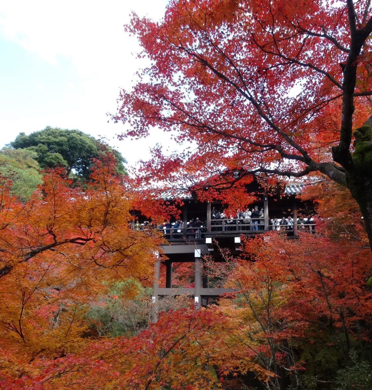 永観堂の紅葉か 東福寺の紅葉か 自分なりに決着をつけてみるわ 京都の旅行記 ブログ By パリ好きおばさん フォートラベル
