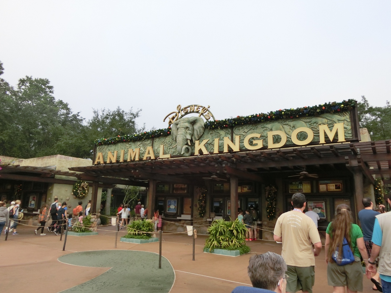 新婚旅行は年末年始のwdwで 2日目 オーランド アメリカ の旅行記 ブログ By まんべんなくさん フォートラベル