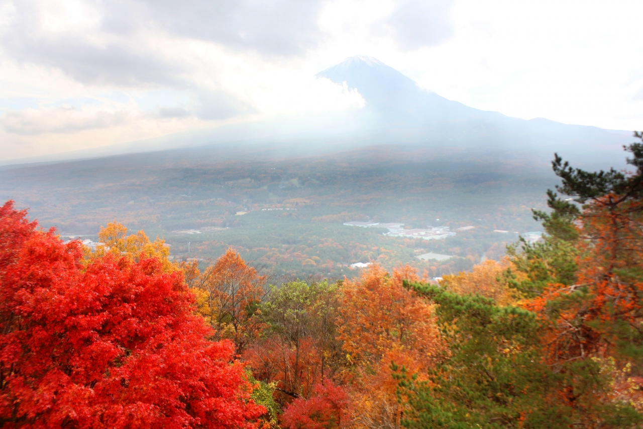 紅葉の富士を求め 紅葉台 西湖いやしの里 精進湖 本栖湖 富士五湖 山梨県 の旅行記 ブログ By ターちゃんさん フォートラベル