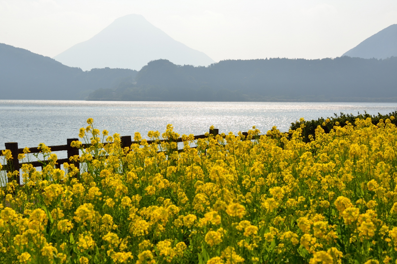 15年初旅 南九州 鹿児島の自然と歴史にふれる旅 ２ 薩摩富士 開聞岳の麓で いち早く春の息吹を感じる 指宿 鹿児島県 の旅行記 ブログ By 紅い翼さん フォートラベル