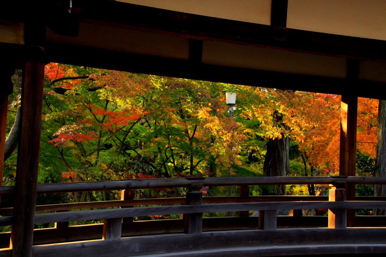 川越 喜多院 中院の紅葉 川越 埼玉県 の旅行記 ブログ By ルカリオさん フォートラベル