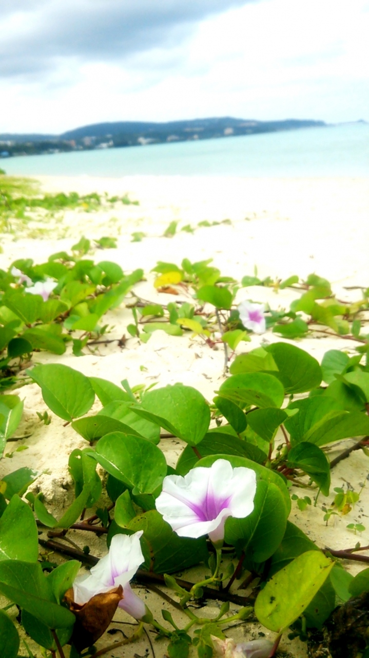 Love The Island Guam グアム社員旅行 グアム グアム の旅行記 ブログ By Gattinaさん フォートラベル