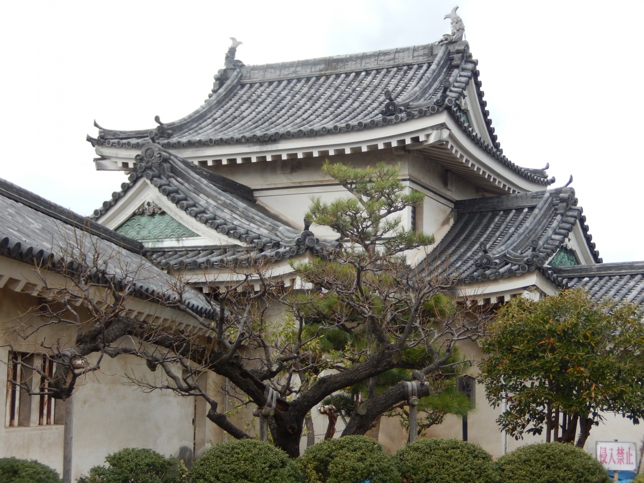 和歌山城天守閣入場と動物園見物 和歌山市 和歌山県 の旅行記 ブログ By タビガラスさん フォートラベル