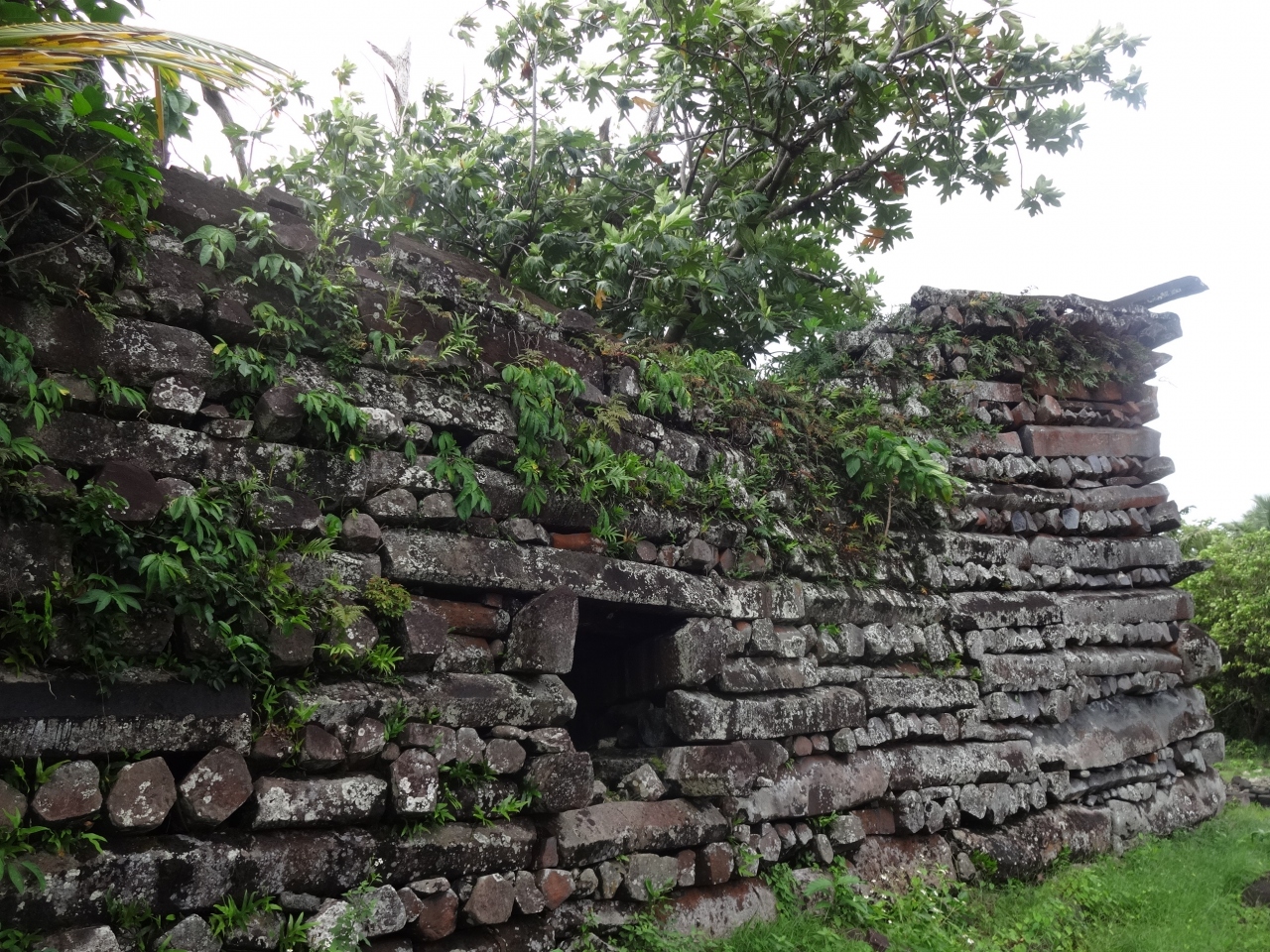 ミクロネシア連邦ナンマドール遺跡の見学 その他の観光地 ミクロネシア の旅行記 ブログ By Alpsmakiさん フォートラベル