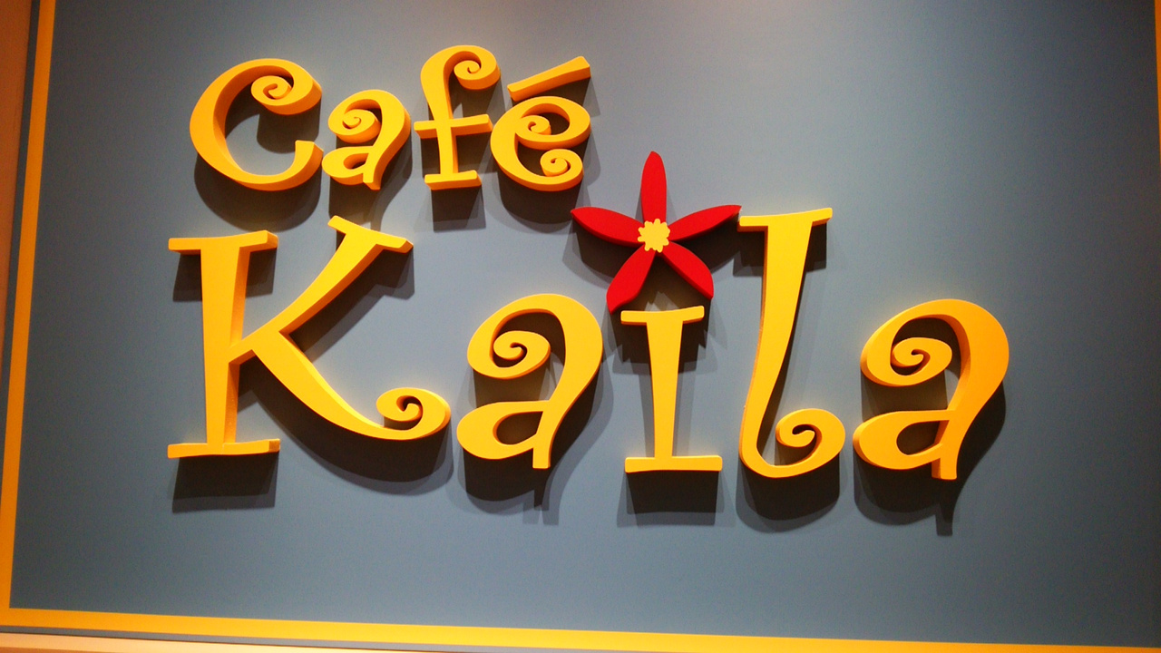 7ヶ月ぶりのtdr 最終日 カフェカイラとお台場と新大久保 東京の旅行記 ブログ By Chocolatさん フォートラベル