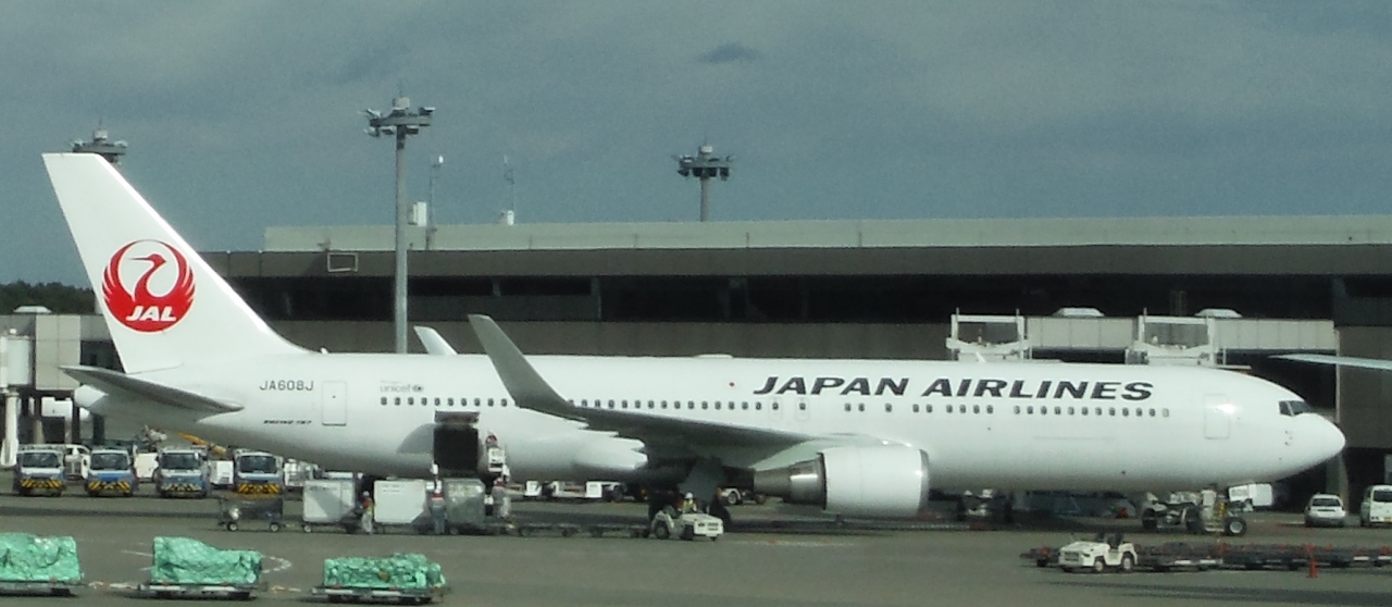 ７ヶ月 ４歳子連れマレーシア １日目 成田空港 クアラルンプール クアラルンプール マレーシア の旅行記 ブログ By 花 花さん フォートラベル