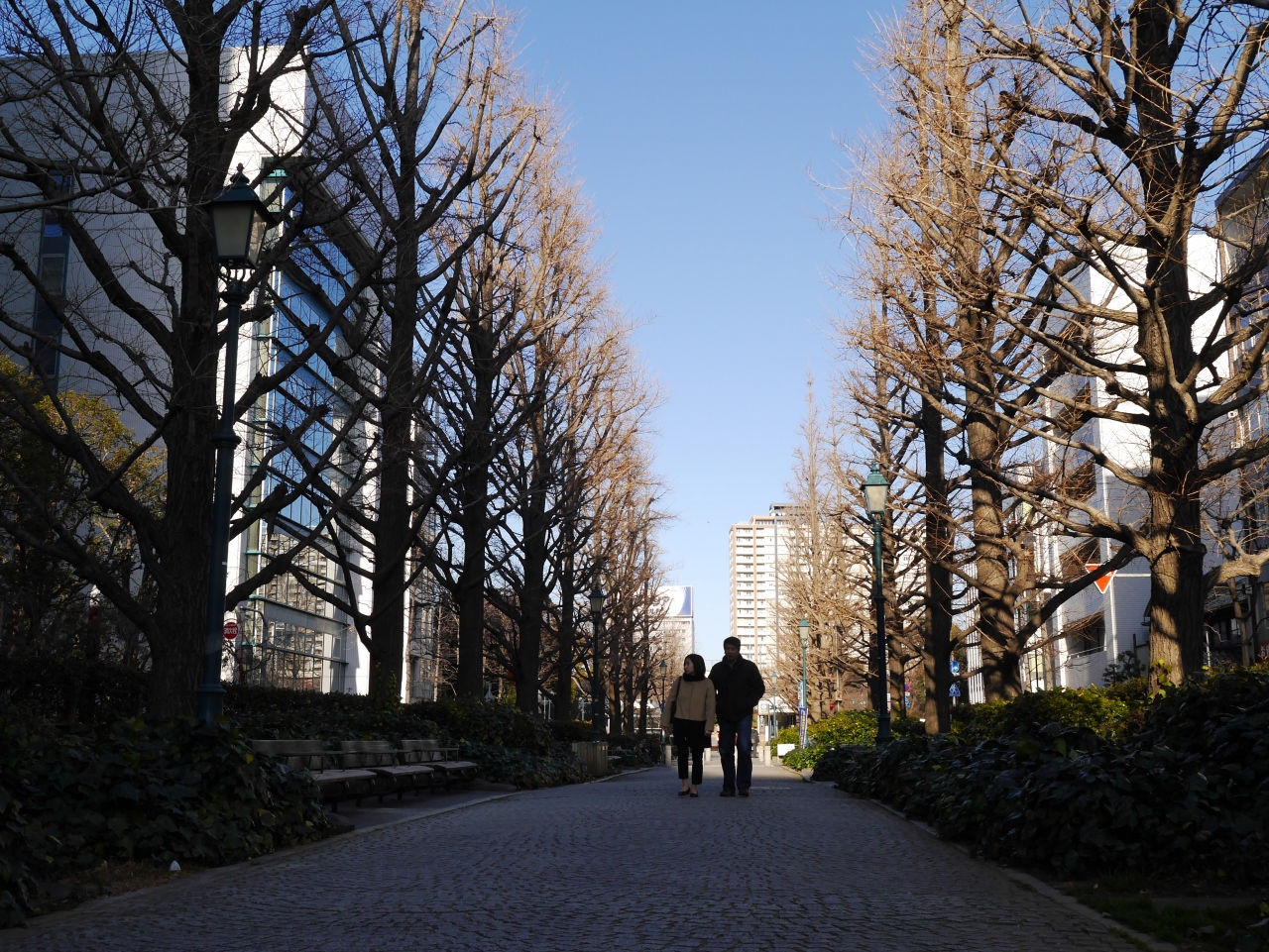 戌の日の水天宮 仮宮 と焼きたての菓子とケーキのお店 日本橋 東京 の旅行記 ブログ By Sakatomoさん フォートラベル