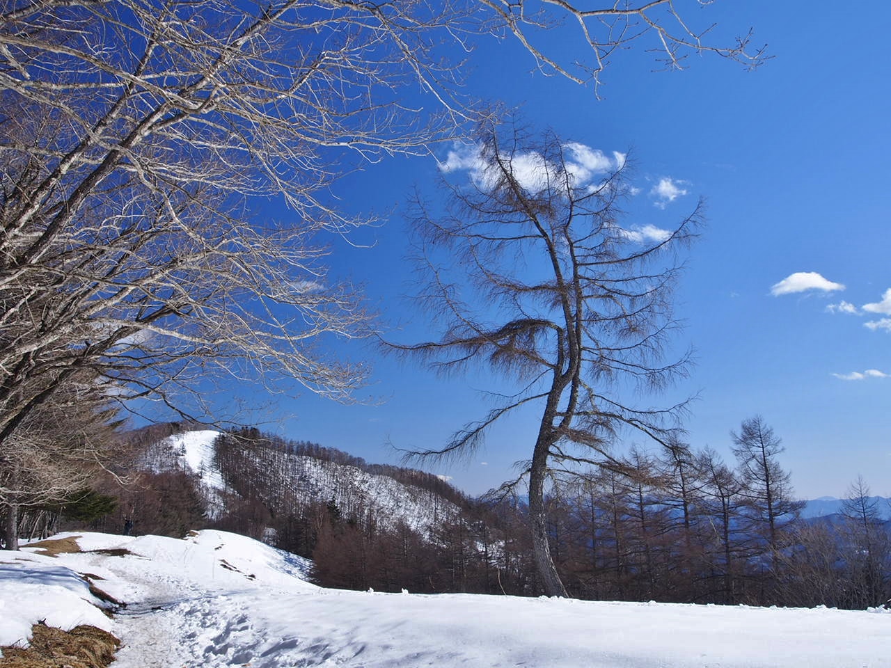 歩き倒されてしまった 冬の雲取山 D I 奥多摩 東京 の旅行記 ブログ By 銭形幸一さん フォートラベル