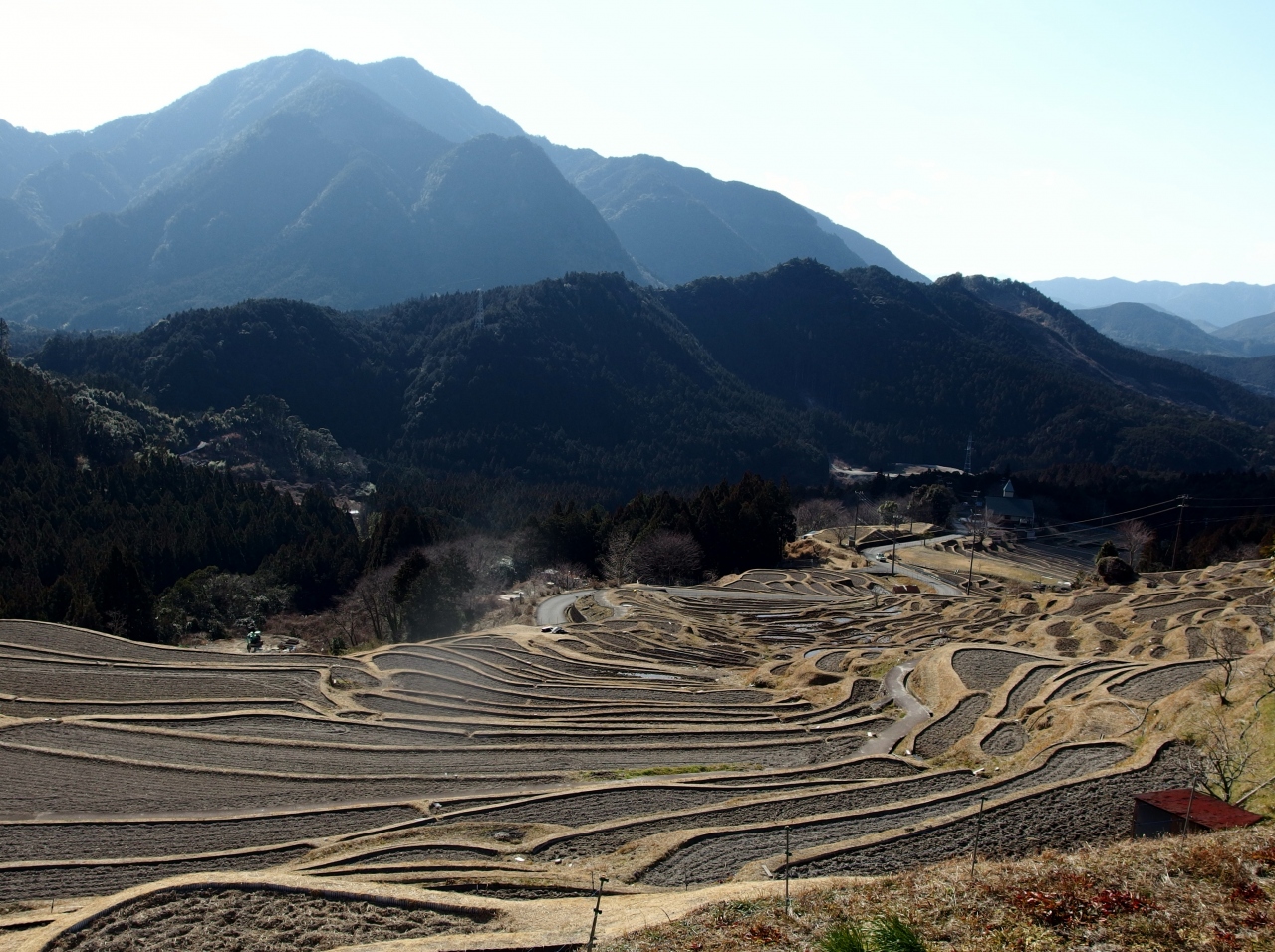 伊勢路から紀州路へと梅もほころぶ 早春の熊野古道 風伝峠 丸山千枚田 通り峠 熊野 三重県 の旅行記 ブログ By みちるさん フォートラベル