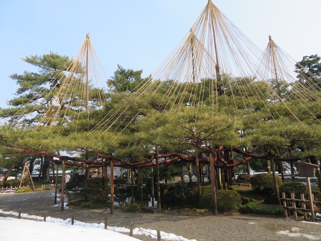 雪吊り兼六園 金沢 石川県 の旅行記 ブログ By 気まぐれトラベラーさん フォートラベル