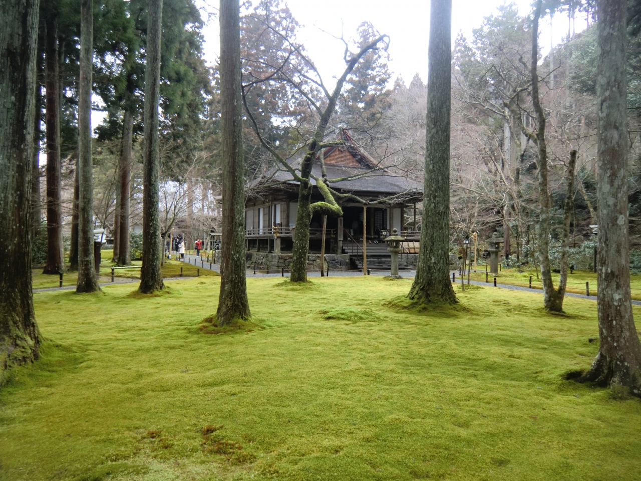 15年2月 関西の旅 第2日 京都 大原 八瀬 大原 貴船 鞍馬 京都 の旅行記 ブログ By たぁ坊さん フォートラベル 15年2月 関西の旅 第2日 京都 大原 八瀬 大原 貴船 鞍馬 京都 の旅行記 ブログ By たぁ坊さん フォートラベル
