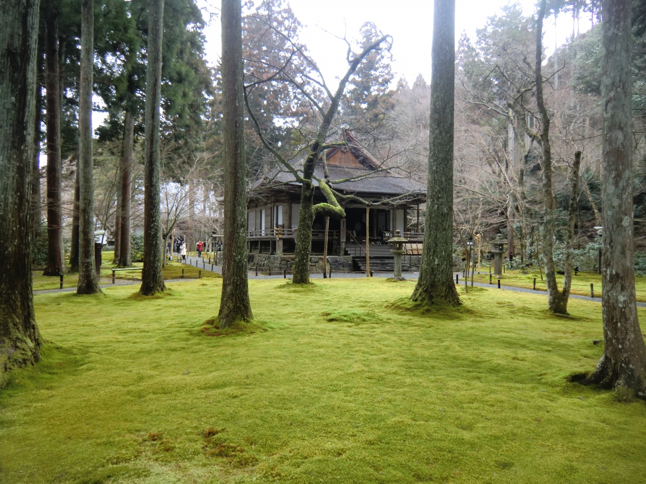 15年2月 関西の旅 第２日 京都 大原 八瀬 大原 貴船 鞍馬 京都 の旅行記 ブログ By たぁ坊さん フォートラベル