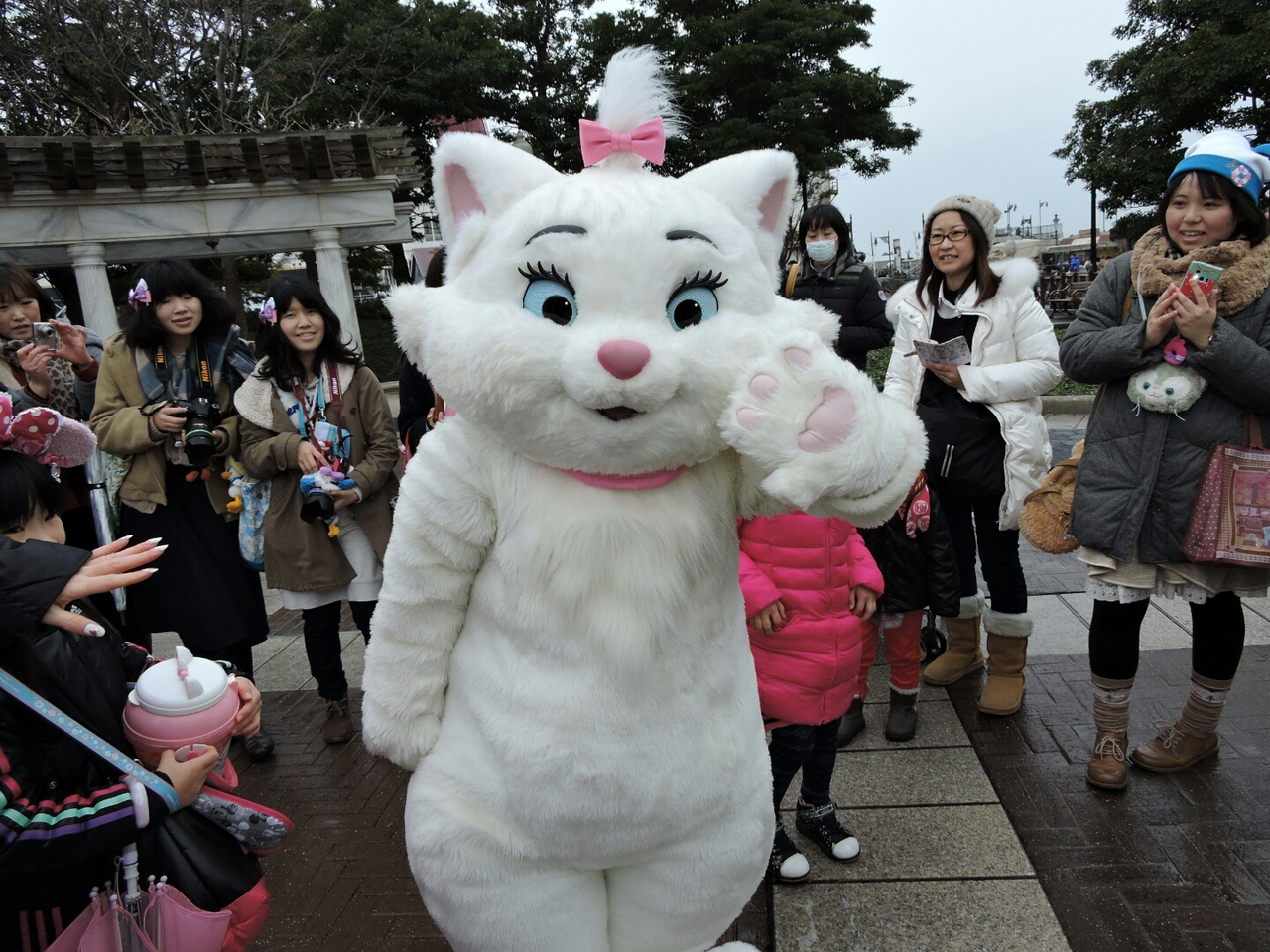 ニャンニャンマリーちゃんの日とガイドツアー ディズニーマジックの海へ 千葉県の旅行記 ブログ By きゅるんさん フォートラベル