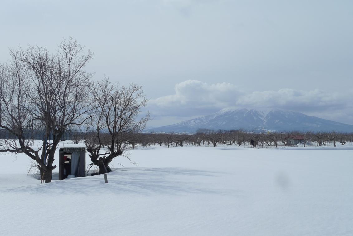 青森日帰りの旅 青森市内 青森県 の旅行記 ブログ By くまさんさん フォートラベル