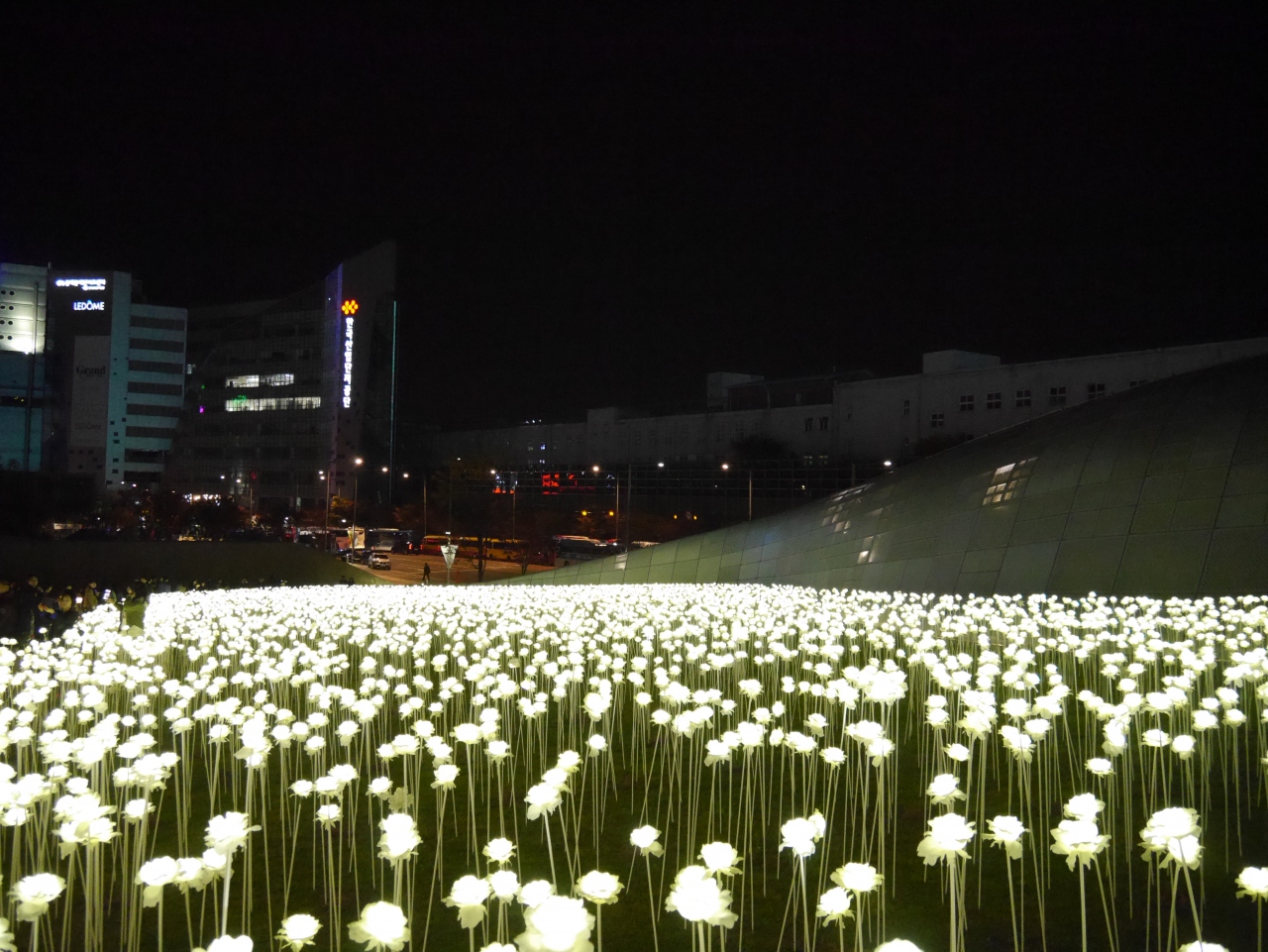 韓国36回目 東大門デザインプラザ バラの花畑 ソウル 韓国 の旅行記 ブログ By Ryo8さん フォートラベル 韓国36回目 東大門デザインプラザ バラの花畑 ソウル 韓国 の旅行記 ブログ By Ryo8さん フォートラベル