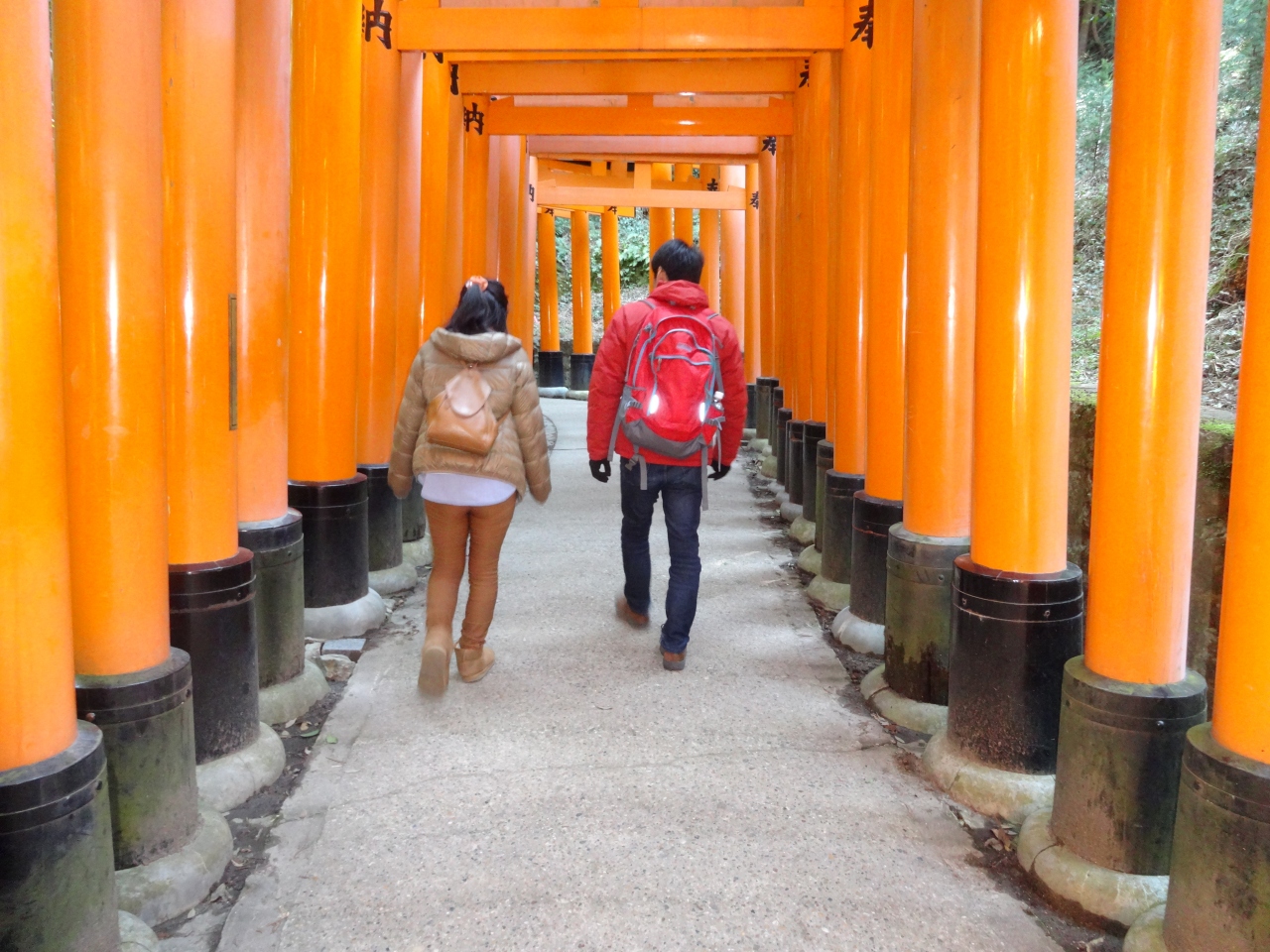 京都you一番人気とサントリー山崎醸造所 伏見 京都 の旅行記 ブログ By クマさん フォートラベル