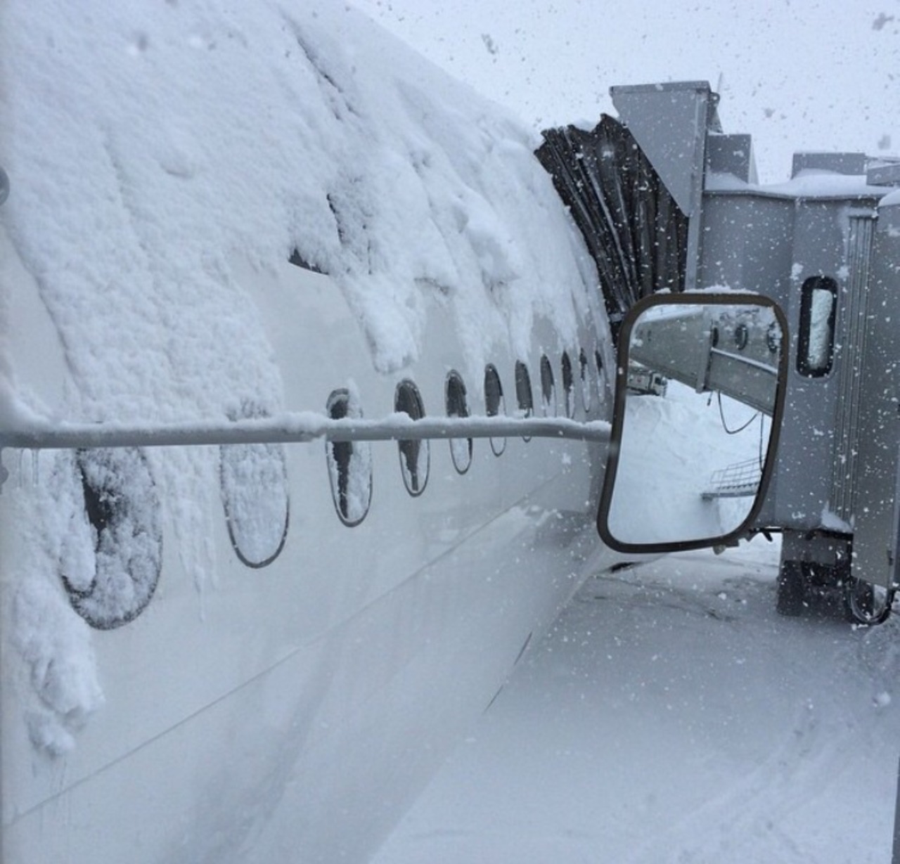 雨女の私は 冬になると雪女 飛行機に搭乗予定日はいつも雪 欠航 どうなる 2泊3日の旅 東京の旅行記 ブログ By Amalfi Whiteさん フォートラベル 雨女の私は 冬になると雪女 飛行機に搭乗予定日はいつも雪 欠航 どうなる 2泊3日の旅 東京の旅行記 ブログ By Amalfi Whiteさん フォートラベル