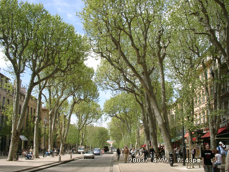 フランス大周遊 2 エクス アン プロヴァンス 美しいプラタナスの並木 エクス アン プロヴァンス フランス の旅行記 ブログ By Comestaiさん フォートラベル