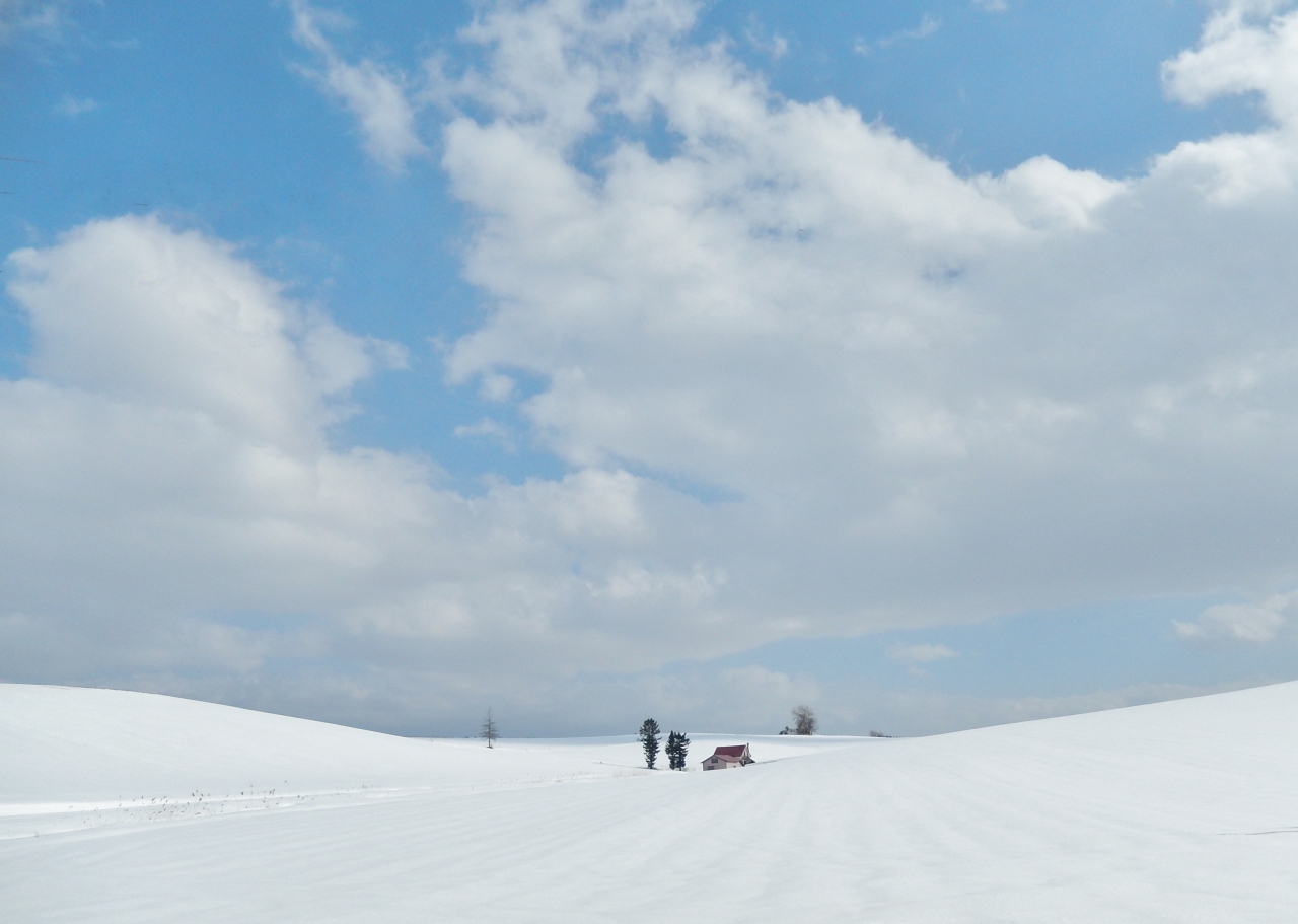 ゚ 美瑛の冬 たびの空から 美瑛 びえい 北海道 の旅行記 ブログ By 豚のしっぽさん フォートラベル ゚ 美瑛の冬 たびの空から 美瑛 びえい 北海道 の旅行記 ブログ By 豚のしっぽさん フォートラベル