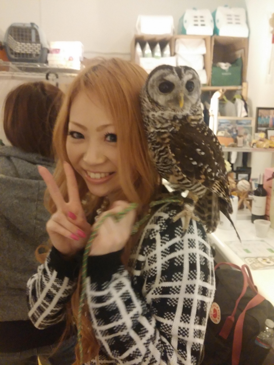 月島 フクロウのみせ でフクロウ頭にのせて癒される まぐろ家で坂井スペシャルもんじゃ お好み焼きで食らって秋葉原猫カフェcat Cafe Nyannyでもふる後編 月島 勝どき 東京 の旅行記 ブログ By もこちゃんさん フォートラベル