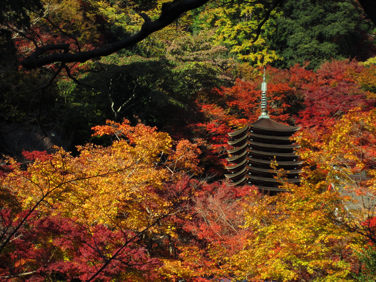 紅葉に映える十三重塔 桜井 三輪 山の辺の道 奈良県 の旅行記 ブログ By Cielさん フォートラベル
