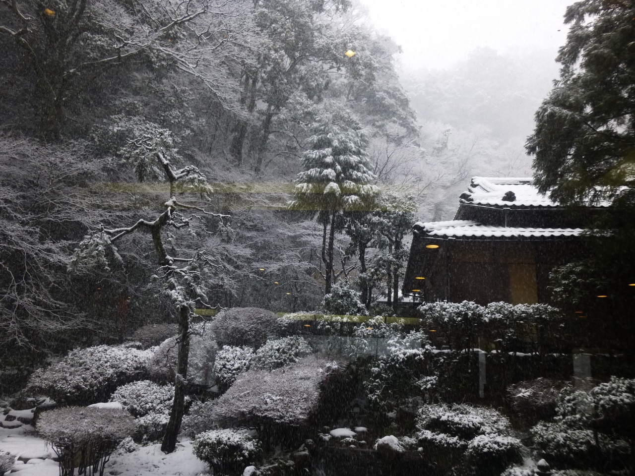 手術後の免疫力向上 にかこつけて 三朝温泉 鳥取県 の旅行記 ブログ By ひろちゃんhykさん フォートラベル 手術後の免疫力向上 にかこつけて 三朝温泉 鳥取県 の旅行記 ブログ By ひろちゃんhykさん フォートラベル
