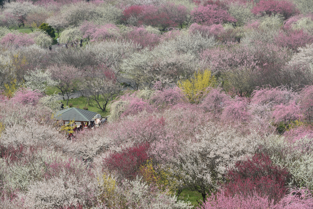 いなべ市農業公園に遊ぶ いなべ 菰野 三重県 の旅行記 ブログ By Punchmsさん フォートラベル