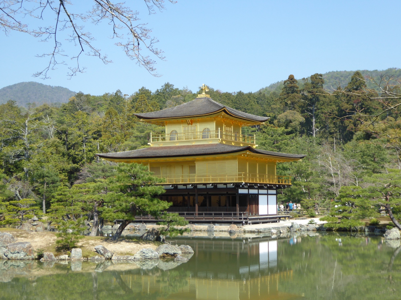 スペインの友人と巡るサクラ咲く京都 金閣寺から龍安寺 嵐山 平野神社 そして夜桜の祇園白川 円山公園へ 嵐山 嵯峨野 太秦 桂 京都 の旅行記 ブログ By Mirabellaさん フォートラベル