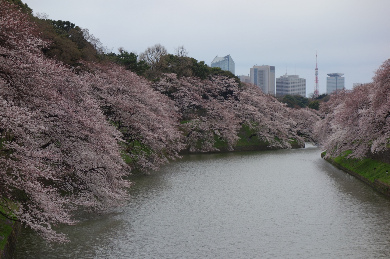 15 東京桜散歩 靖国神社 千鳥ヶ淵 神田 神保町 東京 の旅行記 ブログ By みささん フォートラベル 15 東京桜散歩 靖国神社 千鳥ヶ淵 神田 神保町 東京 の旅行記 ブログ By みささん フォートラベル