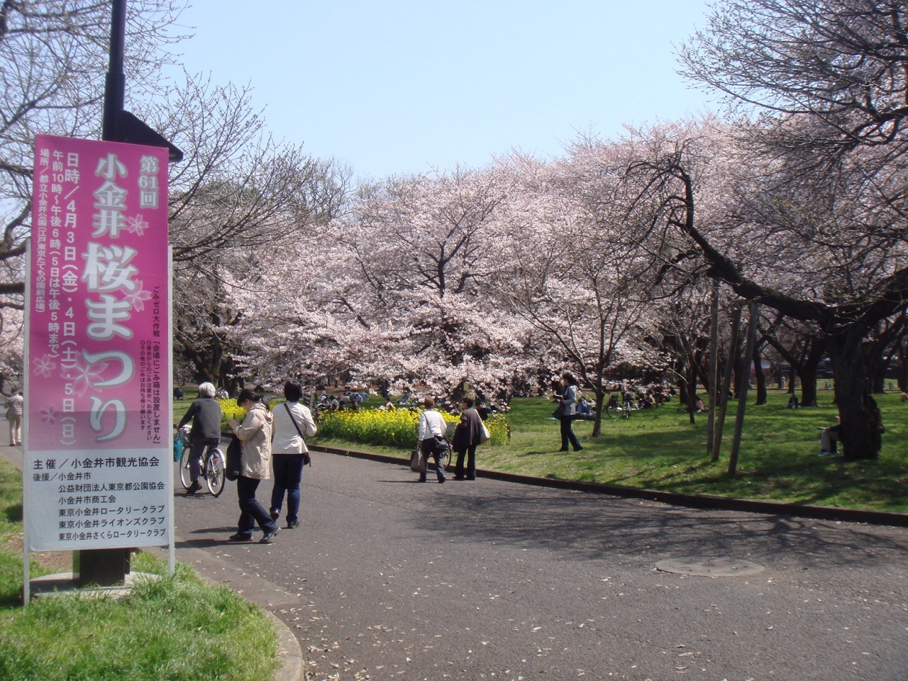 小金井公園の桜 国分寺 小金井 東京 の旅行記 ブログ By 393さん フォートラベル