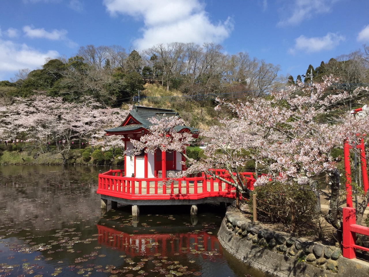 千葉県 茂原公園の桜を見に行きました 茂原 千葉県 の旅行記 ブログ By さとちゃんさん フォートラベル