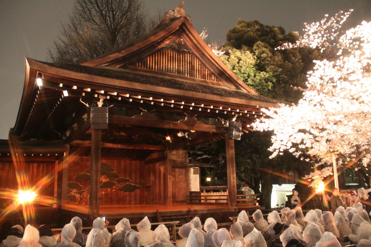 恒例となった靖国神社 夜桜能鑑賞の４度目は小雨の中の満開の桜と共に 神楽坂 飯田橋 東京 の旅行記 ブログ By まみさん フォートラベル