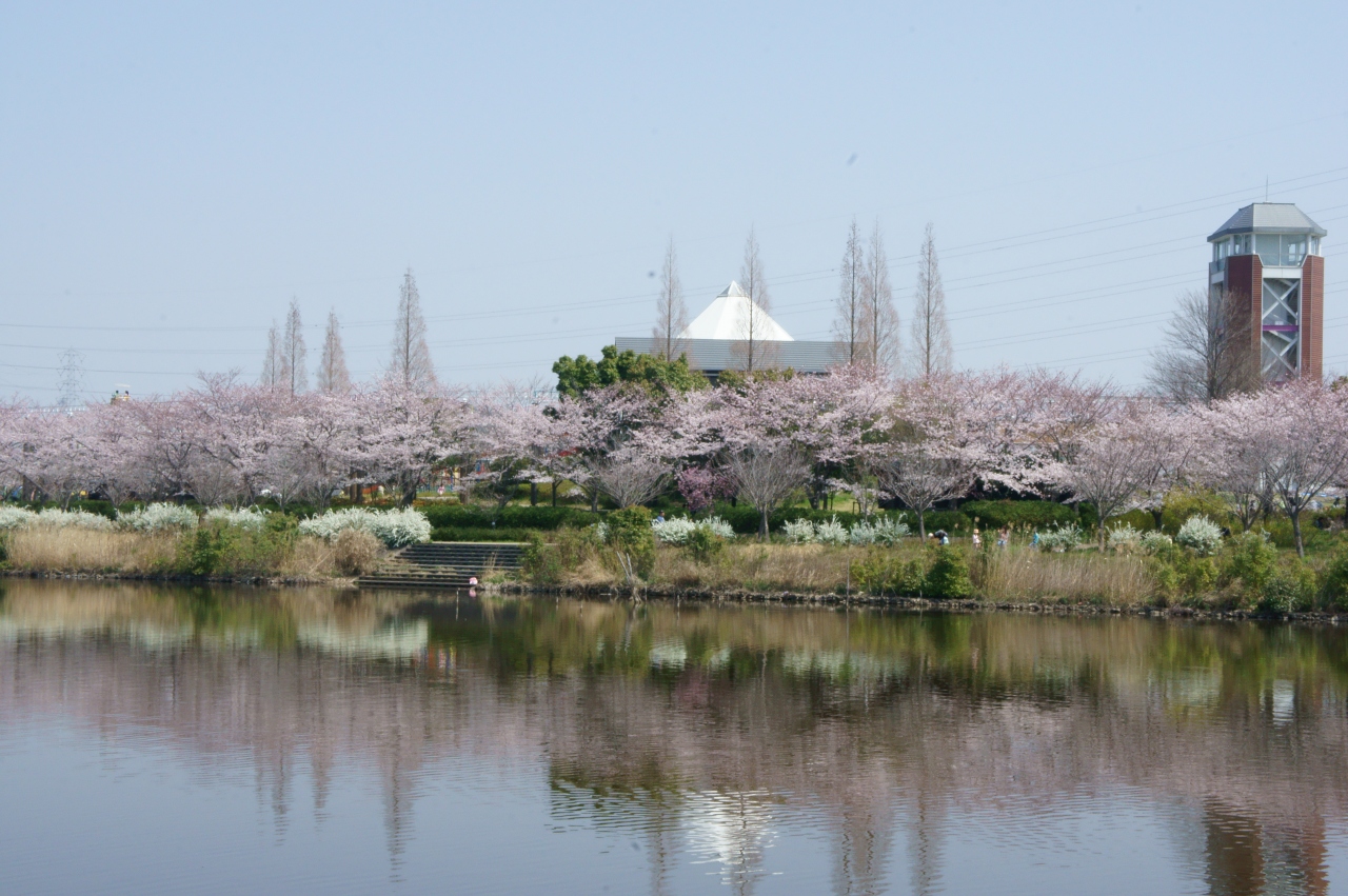 緑地 戸田 川