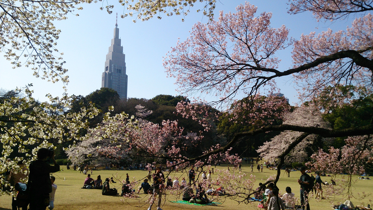 15年3月 満開の桜めぐり 赤坂見附 新宿御苑 豊島園 新宿 東京 の旅行記 ブログ By みみききさん フォートラベル
