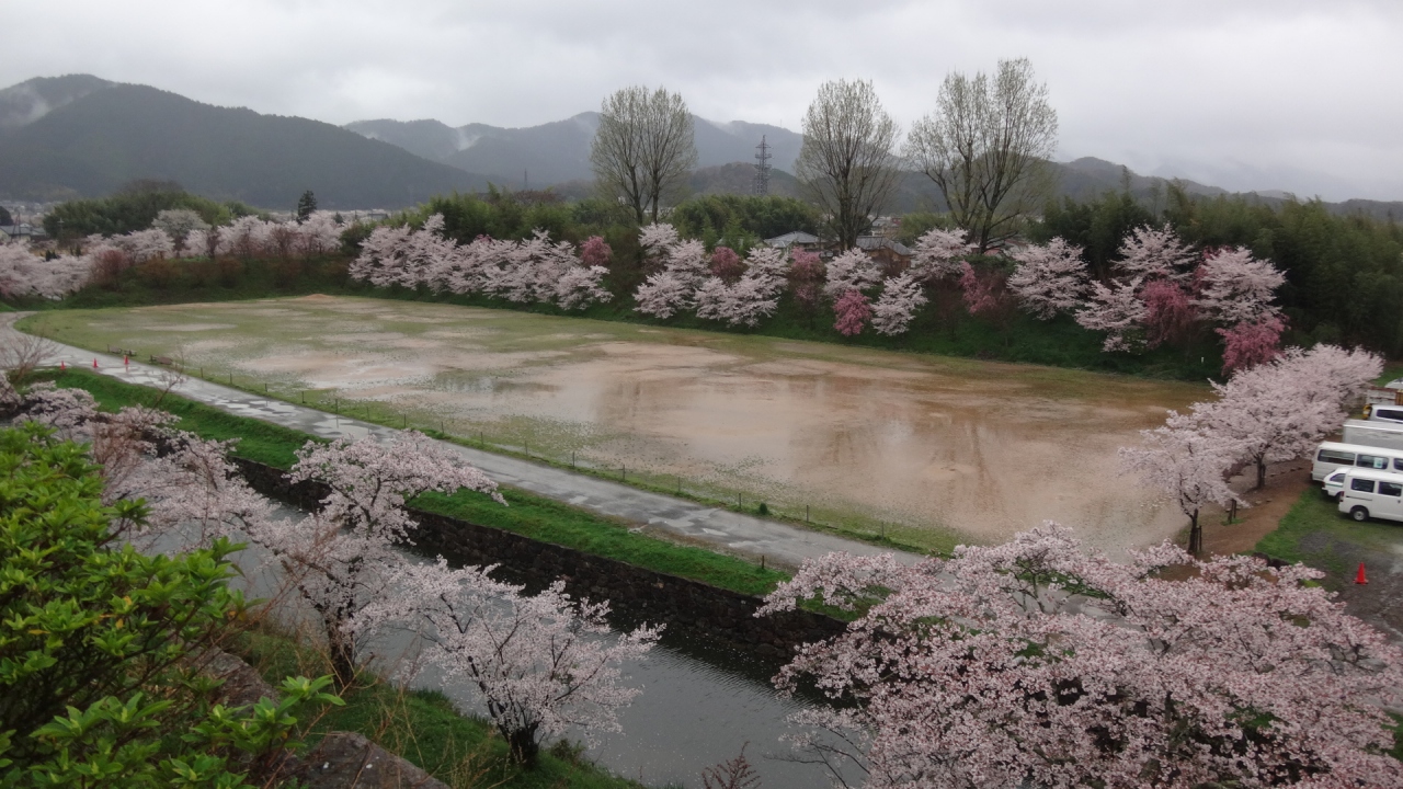 丹波地区の花見 篠山城跡公園の花見 丹波篠山 兵庫県 の旅行記 ブログ By Hn11さん フォートラベル