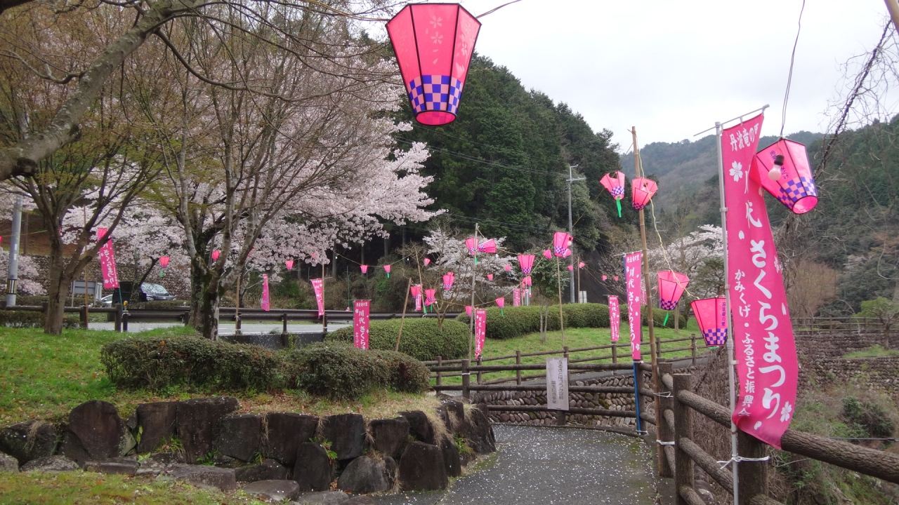 市 山 南町 丹波