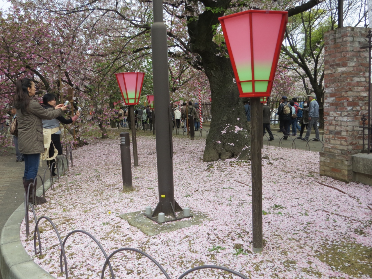 大阪年中行事 造幣局桜の通り抜け その2 大阪城 京橋 大阪 の旅行記 ブログ By 十三の白髭さん フォートラベル 大阪年中行事 造幣局桜の通り抜け その2 大阪城 京橋 大阪 の旅行記 ブログ By 十三の白髭さん フォートラベル