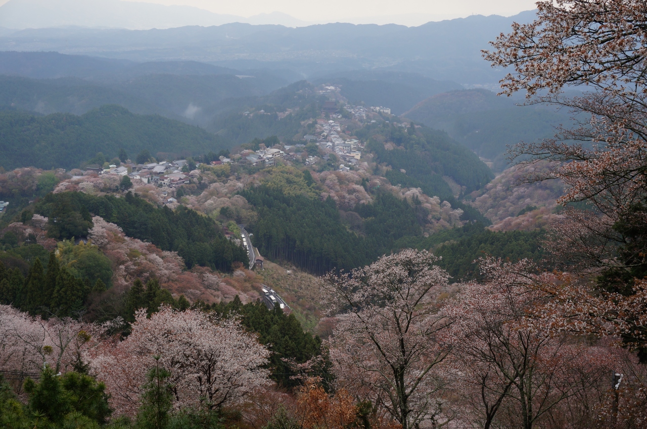 15 一目千本吉野の桜 吉野 奈良県 の旅行記 ブログ By さよりさん フォートラベル