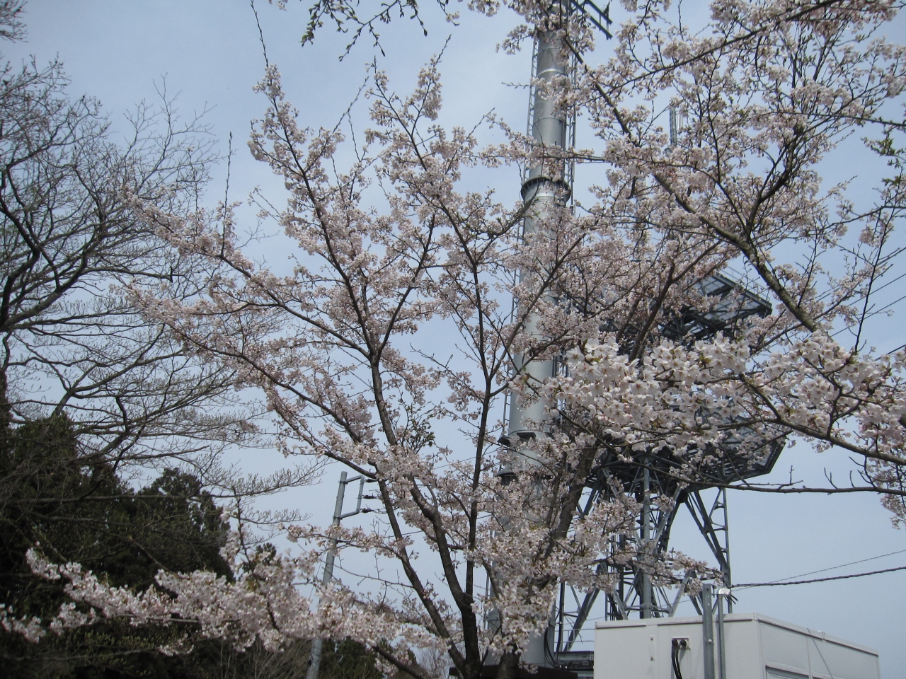 15年 4月 高尾山から相模湖まで 日帰りトレッキング 高尾 八王子 東京 の旅行記 ブログ By Vekiさん フォートラベル 15年 4月 高尾山から相模湖まで 日帰りトレッキング 高尾 八王子 東京 の旅行記 ブログ By Vekiさん フォートラベル
