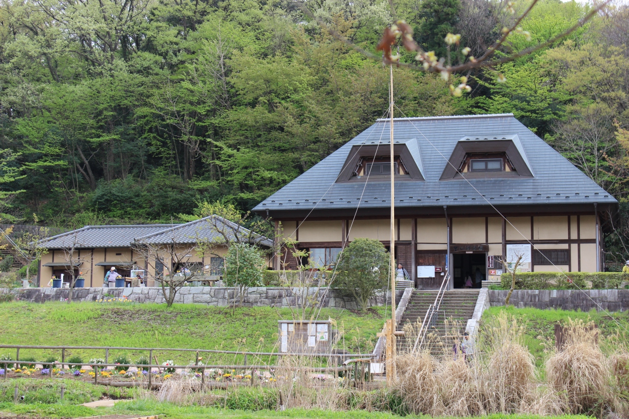 菜種梅雨の晴れ間 座間谷戸山公園 海老名 座間 綾瀬 神奈川県 の旅行記 ブログ By Horseriderさん フォートラベル