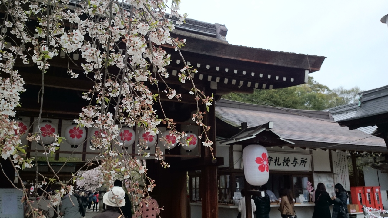 桜を見に北野に 今出川 北大路 北野 京都 の旅行記 ブログ By エンジュさん フォートラベル