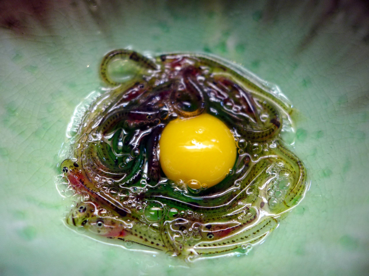 ０４ 春分直後の青森１泊 海食亭 むつわんの夕食 青森市内 青森県 の旅行記 ブログ By ミシマさん フォートラベル