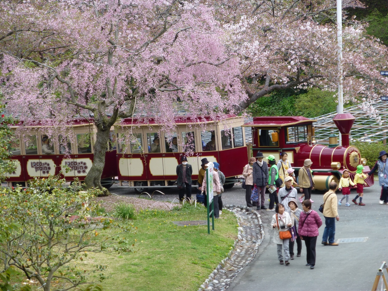 浜名湖 花フェスタ はままつフラワーパーク に行ってきました 舘山寺温泉 静岡県 の旅行記 ブログ By Yamayamaさん フォートラベル