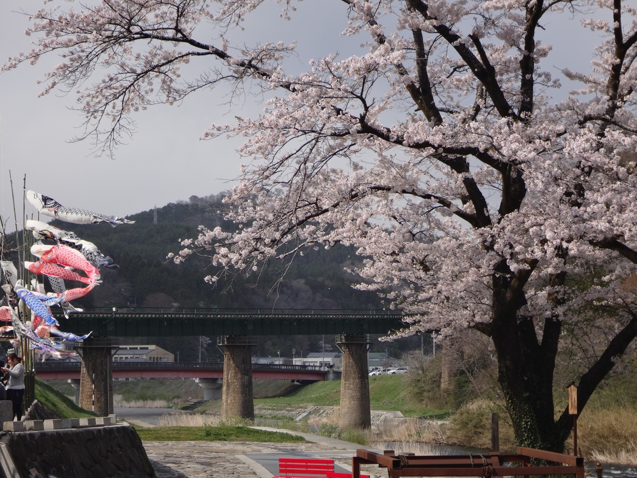 岩手は桜満開でした 一関 岩手県 の旅行記 ブログ By Hisa魚さん フォートラベル