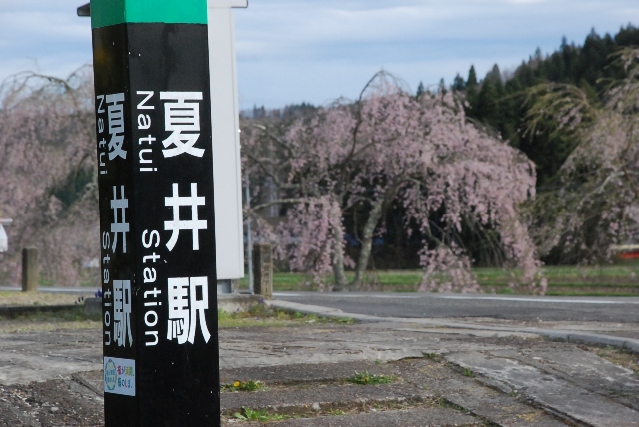 磐越東線 夏井の千本桜 を訪ねて 福島 田村 船引 福島県 の旅行記 ブログ By かっちんさん フォートラベル