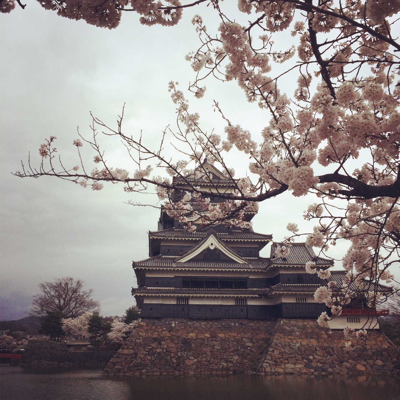 満開の桜と松本城と レトロな街散策 Jリーグ観戦旅 松本 長野県 の旅行記 ブログ By Kanana14さん フォートラベル 満開の桜と松本城と レトロな街散策 Jリーグ観戦旅 松本 長野県 の旅行記 ブログ By Kanana14さん フォートラベル