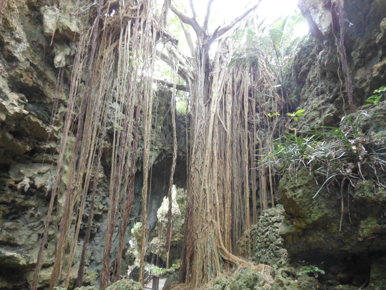 沖縄で連休を 15 G W 沖縄県の旅行記 ブログ By くれいみんさん フォートラベル