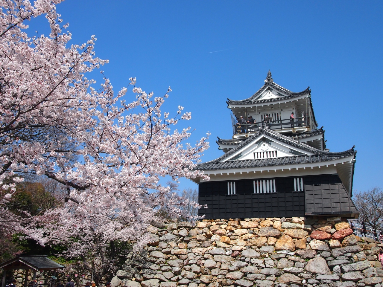 青春１８きっぷの旅 ２０１５年春 浜松 浜松 静岡県 の旅行記 ブログ By かおニャンさん フォートラベル