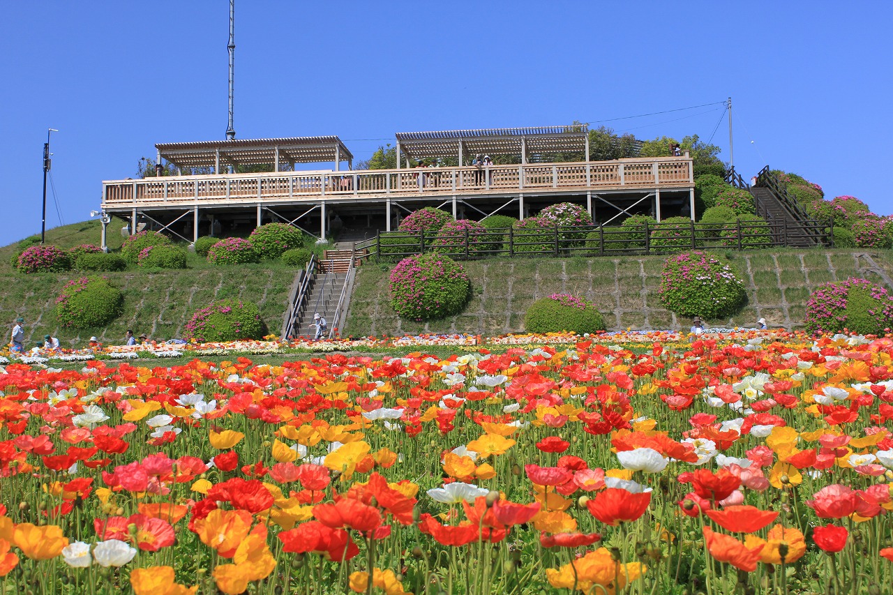 淡路花博に出かけてきました 淡路島 兵庫県 の旅行記 ブログ By 旅好き長さんさん フォートラベル 淡路花博に出かけてきました 淡路島 兵庫県 の旅行記 ブログ By 旅好き長さんさん フォートラベル
