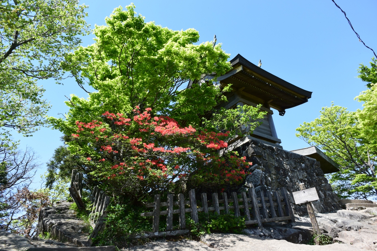 つつじの花咲く筑波山 つつじヶ丘から女体山 男体山へ つくば 茨城県 の旅行記 ブログ By どりーまーさん フォートラベル